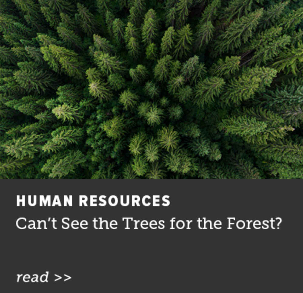 Can't See the Trees for the Forest?
